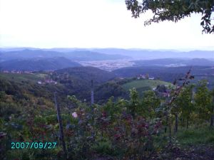 Bildbeschreibung2